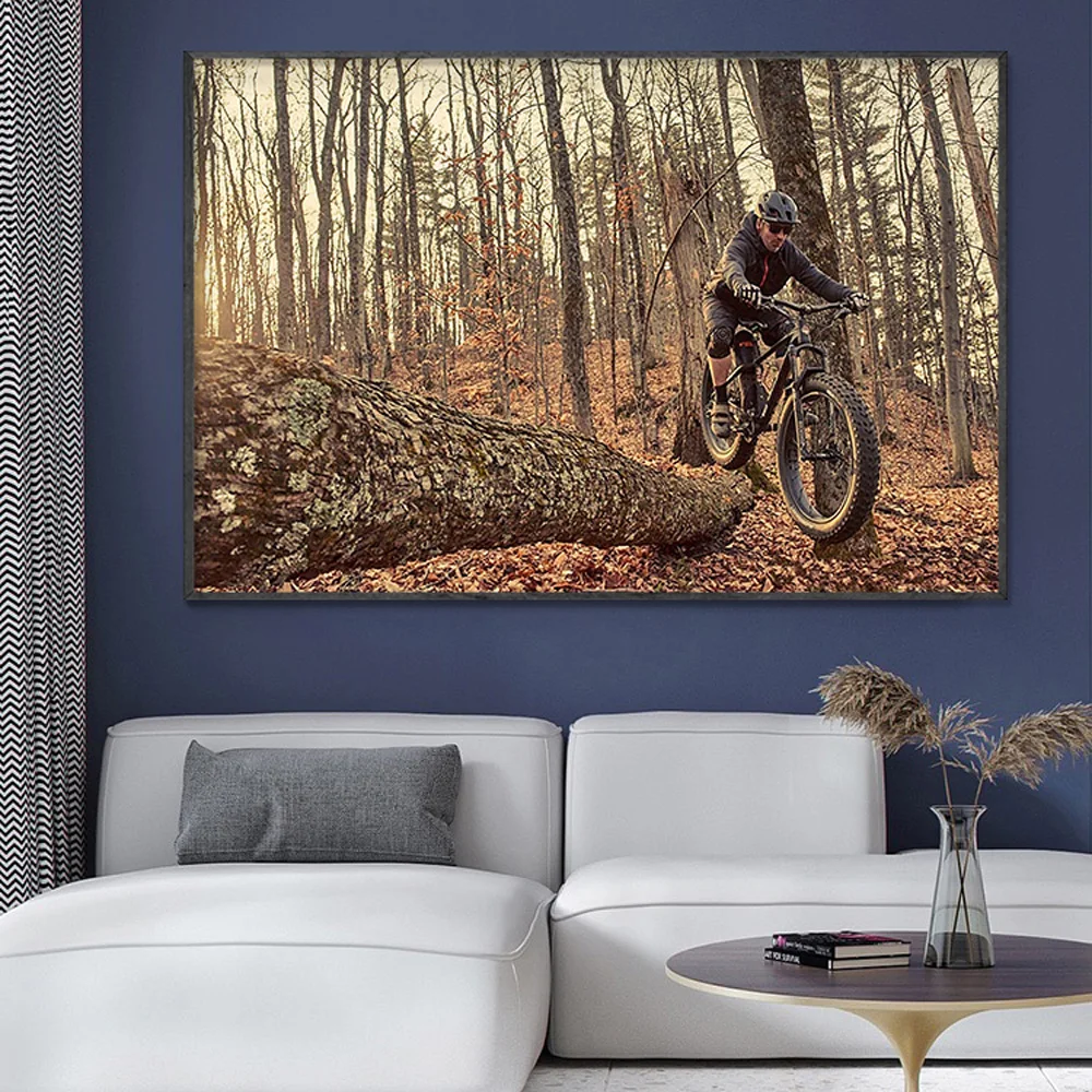 SP082 Silk Cloth Wall Poster M - Mountain Biking Movies 评论和价格