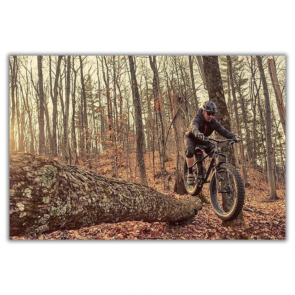 SP082 Silk Cloth Wall Poster M - Mountain Biking Movies 评论和价格