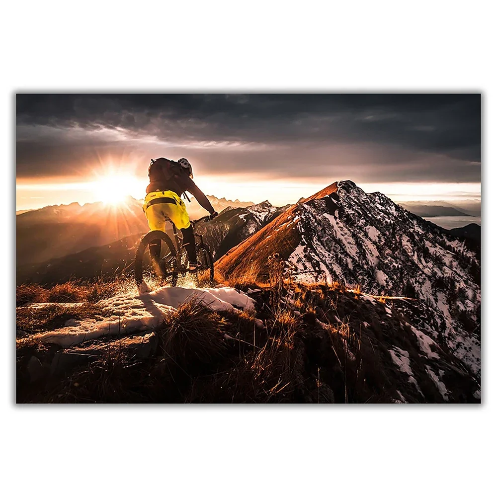 SP080 Silk Cloth Wall Poster M - Mountain Biking Movies 评论和价格