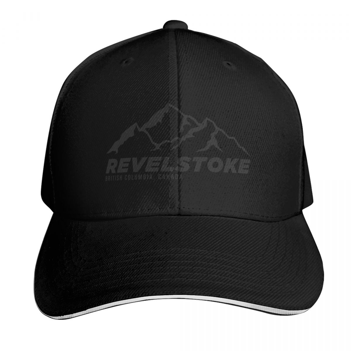 Ski Revelstoke B.C Canada Skii - Mountain Biking Revelstoke 评论和价格