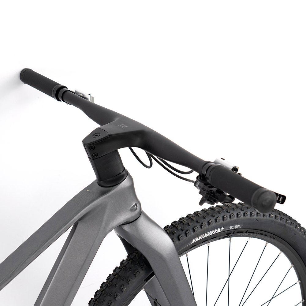 Premium Carbon Mountain Bike w - Mountain Biking Gear 评论和价格
